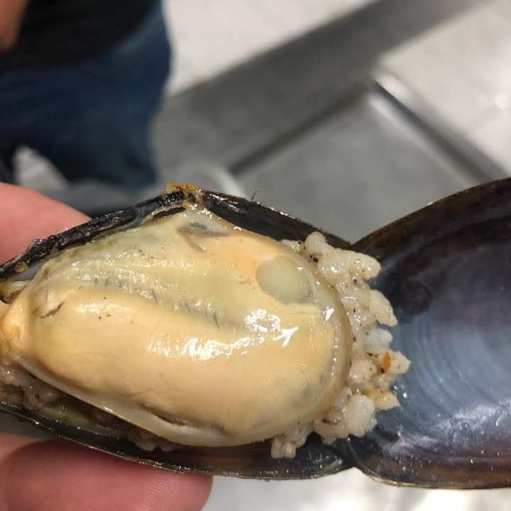 Midye Dolma